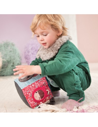 Louis lobo cubo de destreza